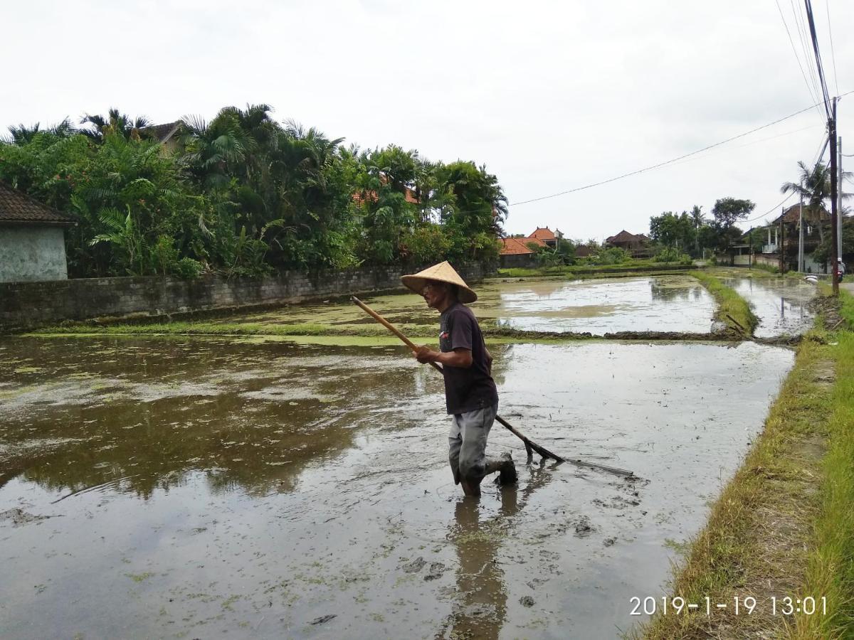 Bhuana Alit 2 Ubud Екстериор снимка
