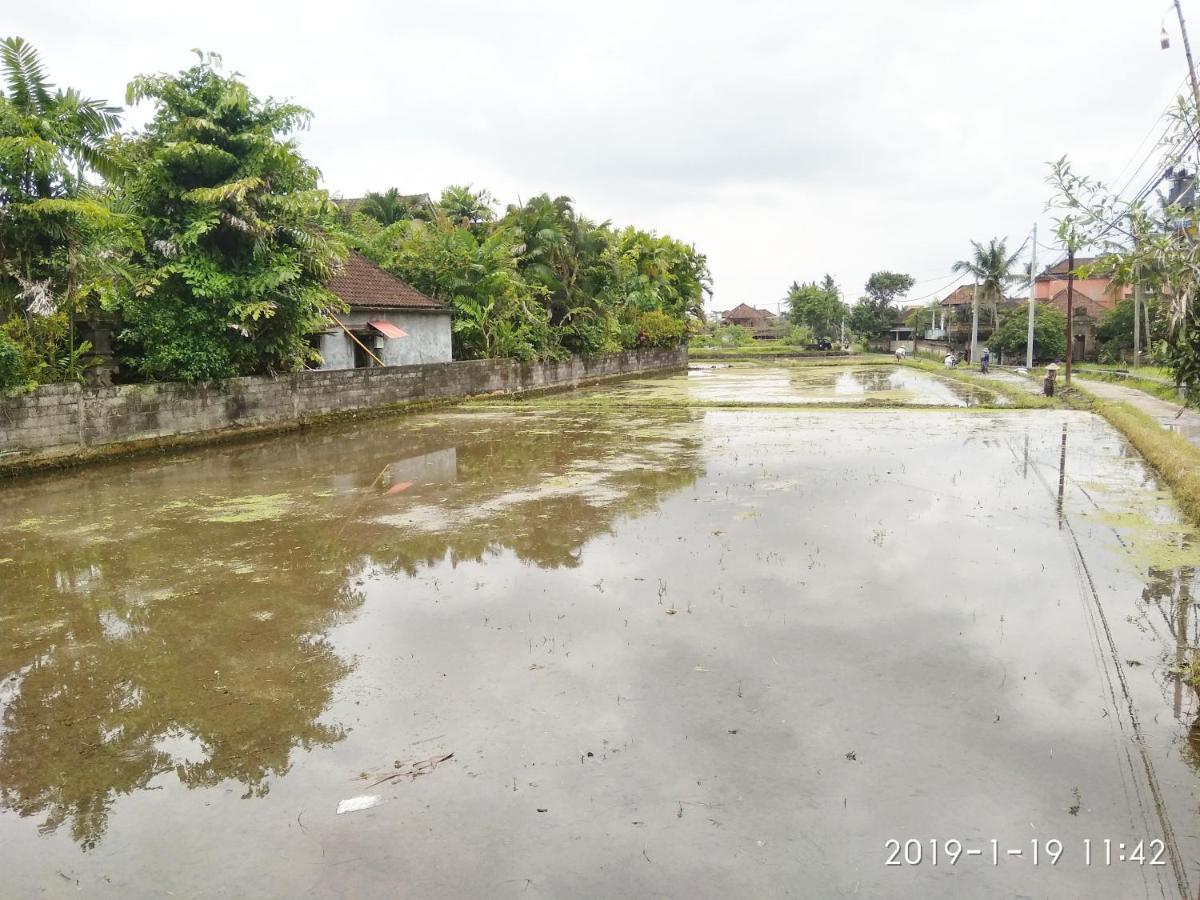 Bhuana Alit 2 Ubud Екстериор снимка
