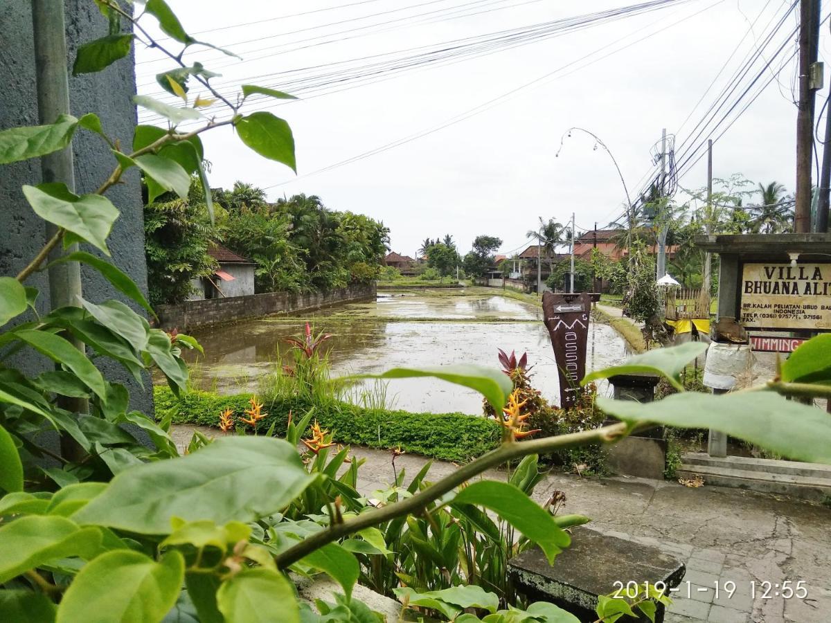Bhuana Alit 2 Ubud Екстериор снимка