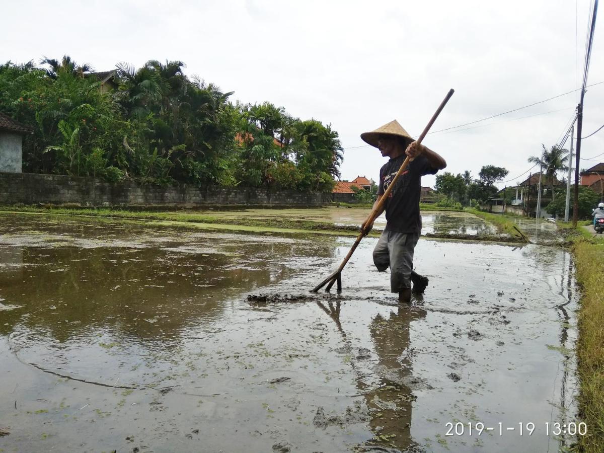 Bhuana Alit 2 Ubud Екстериор снимка