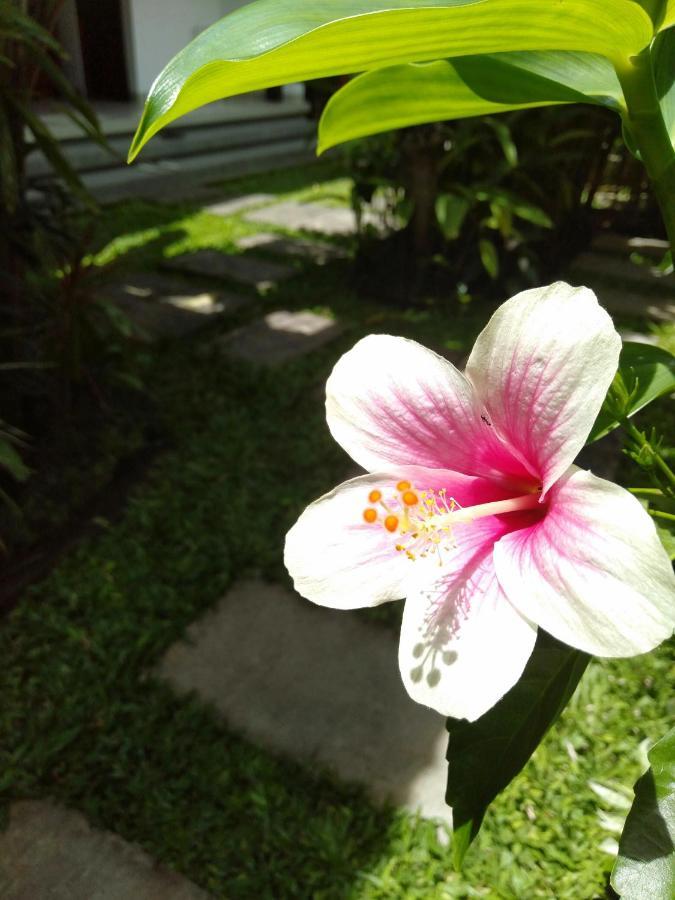 Bhuana Alit 2 Ubud Екстериор снимка